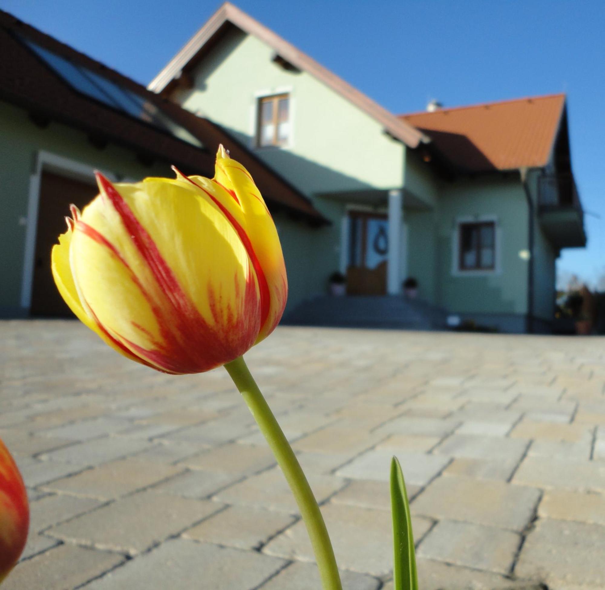 Gaestezimmer Rieder Otel Staatz Dış mekan fotoğraf